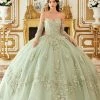 3D Floral Applique Strapless Ball Gown By Ladivine 15714 1 3D Floral Applique Strapless Ball Gown By Ladivine 15714 -Dresses Shop 15714 sage