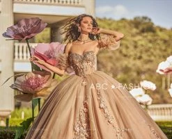 3D Floral Puff Sleeve Quinceanera Dress By Ragazza EV27-627 -Dresses Shop 3d floral puff sleeve quinceanera dress by ragazza ev27 627 quinceanera dresses ragazza fashion 929989
