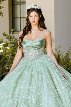 Strapless Sheer Corset Ball Gown By Petite Adele PQ1034
