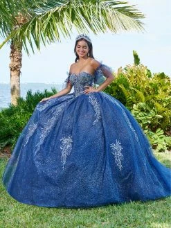 Applique Sheer Corset Quinceanera Dress By Fiesta Gowns 56495 -Dresses Shop FiestaGowns 56495 1 Navy