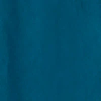 Illusion Off Shoulder Quinceanera Dress By Fiesta Gowns 56402 (Size 10 - 16) 17 Illusion Off Shoulder Quinceanera Dress By Fiesta Gowns 56402 (Size 10 - 16) - Image 16