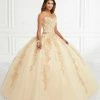 Applique Strapless Quinceanera Dress By Fiesta Gowns 56393 (Size 18 - 26)