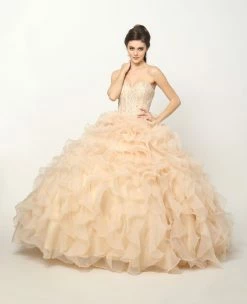 Ruffled Strapless Organza Ball Gown By Juliet 1418 -Dresses Shop beaded strapless ball gown with organza ruffled skirt by juliet 1418 quinceanera dresses juliet 102294