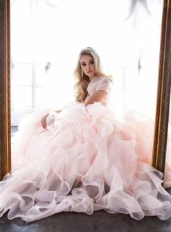 Ruffled Strapless Organza Ball Gown By Juliet 1418 -Dresses Shop beaded strapless ball gown with organza ruffled skirt by juliet 1418 quinceanera dresses juliet 828713