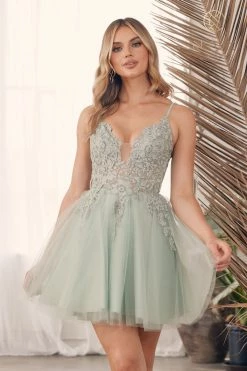 Embroidered Short V-Neck Tulle Dress By Nox Anabel G785