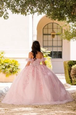 Embroidered Sweetheart Corset Ball Gown By Petite Adele PQ1026 -Dresses Shop embroidered sweetheart corset ball gown by petite adele pq1026 quinceanera dresses bella princess couture by petite adele 771662