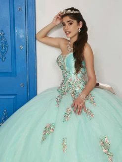 Floral Embroidered V-Neck Dress By House Of Wu LA Glitter 24032 10 Floral Embroidered V-Neck Dress By House Of Wu LA Glitter 24032 -Dresses Shop floral embroidered v neck dress by house of wu la glitter 24032 quinceanera dresses la glitter by house of wu 903929