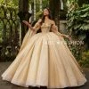 Glitter Cape Sleeve Quinceanera Dress By Ragazza EV28-628