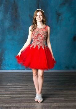 Gold Applique Short Sleeveless Dress By Calla Collection