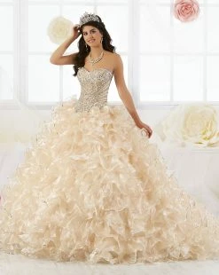 Strapless Ruffled Quinceanera Dress By House Of Wu 26845 -Dresses Shop house of wu quinceanera dress style 26845 quinceanera dresses house of wu 0 champagne 953750