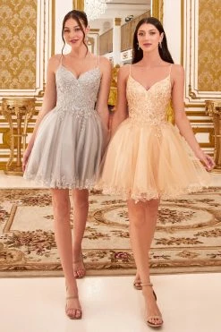 Lace Applique Short Sleeveless Dress By Ladivine CD0213 -Dresses Shop lace applique short sleeveless dress by ladivine cd0213 short cocktail dresses cinderella divine xs silver 418014