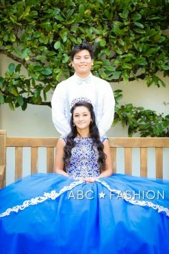 Lace Appliqued Quinceanera Dress By Fiesta Gowns 56336 17 Lace Appliqued Quinceanera Dress By Fiesta Gowns 56336 -Dresses Shop lace appliqued quinceanera dress by fiesta gowns 56336 quinceanera dresses house of wu fiesta gowns 701181