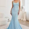 Lace-Up Back Mermaid Dress By Ladivine CD2219 -Dresses Shop lace up back mermaid dress by ladivine cd2219 long formal dresses cinderella divine 2 light blue 824967