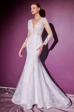 Long Sleeve Lace Bridal Gown By Cinderella Divine CD951W