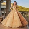 Plisse Strapless Quinceanera Dress By Ragazza EV14-614