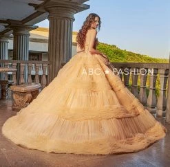 Plisse Strapless Quinceanera Dress By Ragazza EV14-614 -Dresses Shop plisse strapless quinceanera dress by ragazza ev14 614 quinceanera dresses ragazza fashion 440593