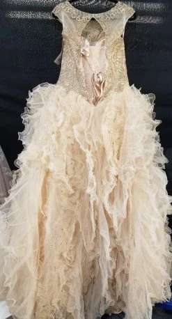 Ruffled Sleeveless Quinceanera Dress By House Of Wu 26835 -Dresses Shop ruffled sleeveless quinceanera dress by house of wu 26835 quinceanera dresses house of wu 316984