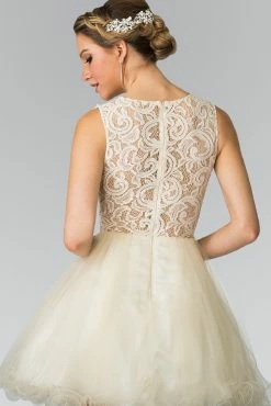 Short Dress With Lace Bodice And Sheer Waistline By Elizabeth K GS1427 -Dresses Shop short dress with lace bodice and sheer waistline by elizabeth k gs1427 short cocktail dresses elizabeth k 596695