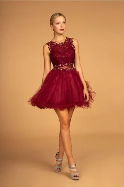 Short Dress With Lace Bodice And Sheer Waistline By Elizabeth K GS1427