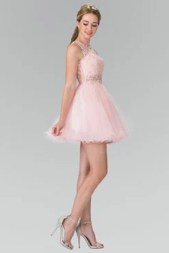 Short Dress With Lace Bodice And Sheer Waistline By Elizabeth K GS1427 -Dresses Shop short dress with lace bodice and sheer waistline by elizabeth k gs1427 short cocktail dresses elizabeth k xs blush pink 896945