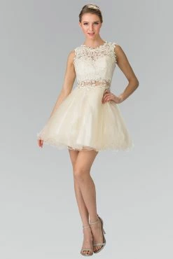 Short Dress With Lace Bodice And Sheer Waistline By Elizabeth K GS1427 -Dresses Shop short dress with lace bodice and sheer waistline by elizabeth k gs1427 short cocktail dresses elizabeth k xs champagne 940299