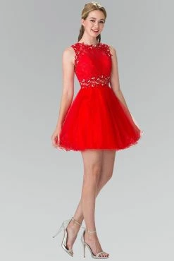 Short Dress With Lace Bodice And Sheer Waistline By Elizabeth K GS1427 -Dresses Shop short dress with lace bodice and sheer waistline by elizabeth k gs1427 short cocktail dresses elizabeth k xs red 744897