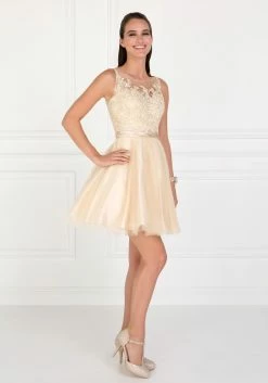 Short Illusion Dress With Lace Bodice By Elizabeth K GS2414 -Dresses Shop short illusion dress with lace bodice by elizabeth k gs2414 short cocktail dresses elizabeth k 150515