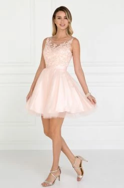 Short Illusion Dress With Lace Bodice By Elizabeth K GS2414 -Dresses Shop short illusion dress with lace bodice by elizabeth k gs2414 short cocktail dresses elizabeth k xl blush 386571