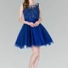 Short Illusion Dress With Lace Bodice By Elizabeth K GS2414