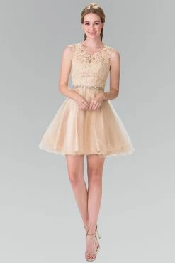 Short Sleeveless Lace Bodice Dress By Elizabeth K GS2375 -Dresses Shop short sleeveless dress with lace illusion top by elizabeth k gs2375 short cocktail dresses elizabeth k xs champagne 476995
