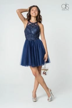 Short Tulle Dress With Embroidered Bodice By Elizabeth K GS2809