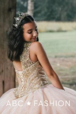 Two-Tone Tulle Quinceanera Dress By Fiesta Gowns 56344 13 Two-Tone Tulle Quinceanera Dress By Fiesta Gowns 56344 -Dresses Shop two tone tulle quinceanera dress by fiesta gowns 56344 quinceanera dresses house of wu fiesta gowns 0 dusty rosechampagne 830549